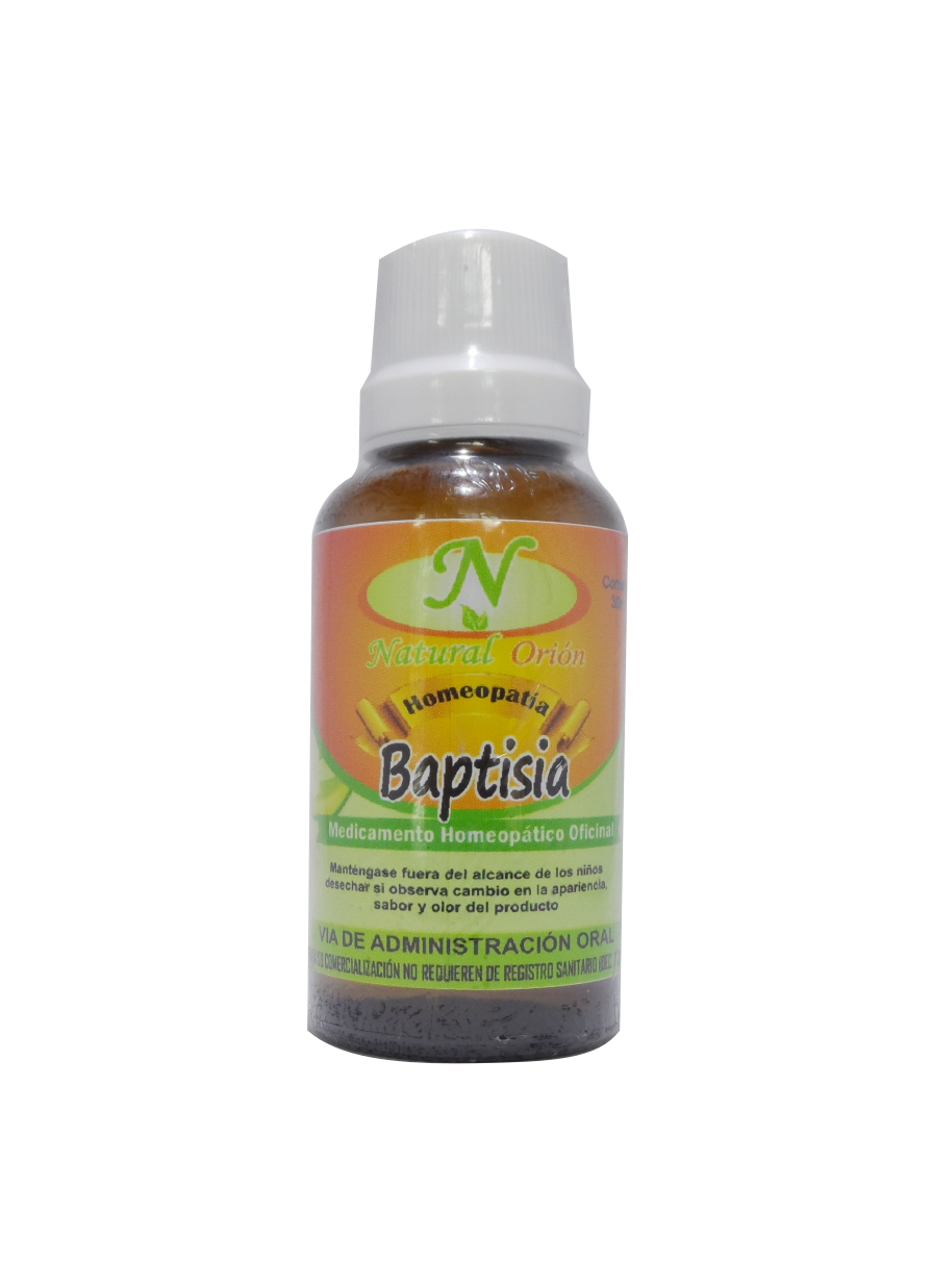 Baptisia