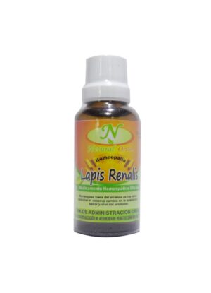 Lapis Renalis