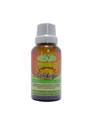 Solidago